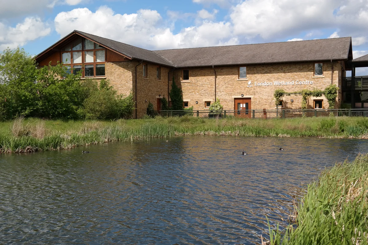 WWT London Wetland Centre on the former Barn Elms estate