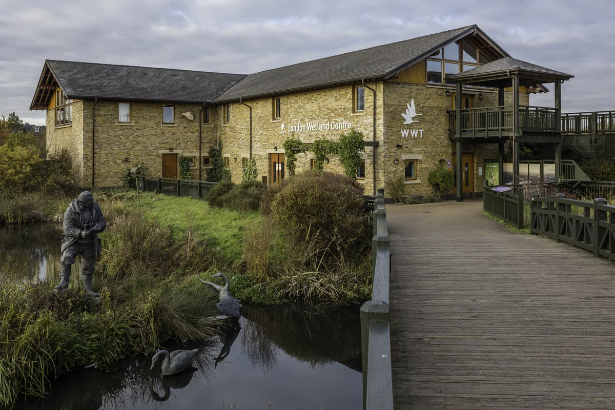 London Wetland Centre entrance with Peter Scott statue