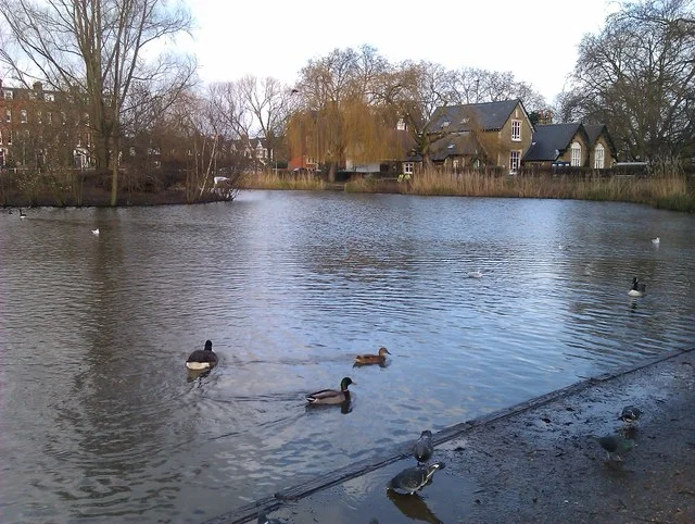 Duck pond on Barnes Green, the heart of the village